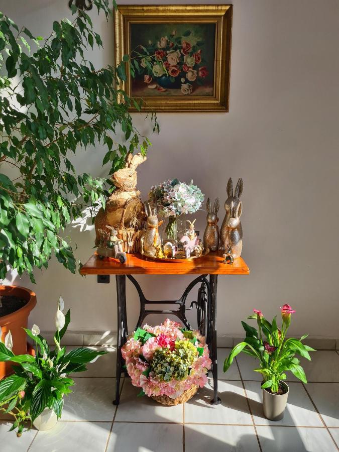 Agas Vendeghaz Hotel Csopak Ngoại thất bức ảnh